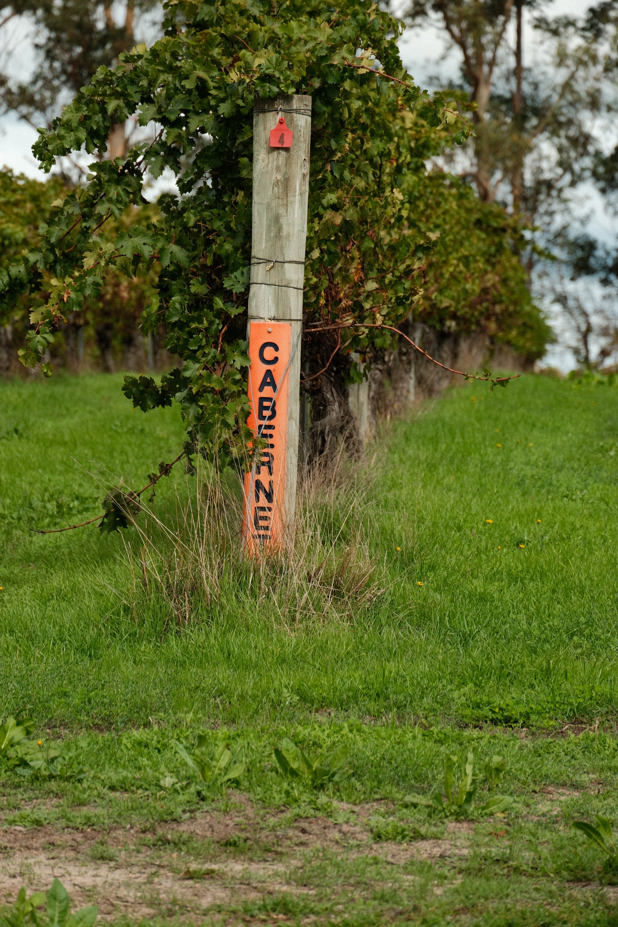 STAY AT ROSA GLEN FARM