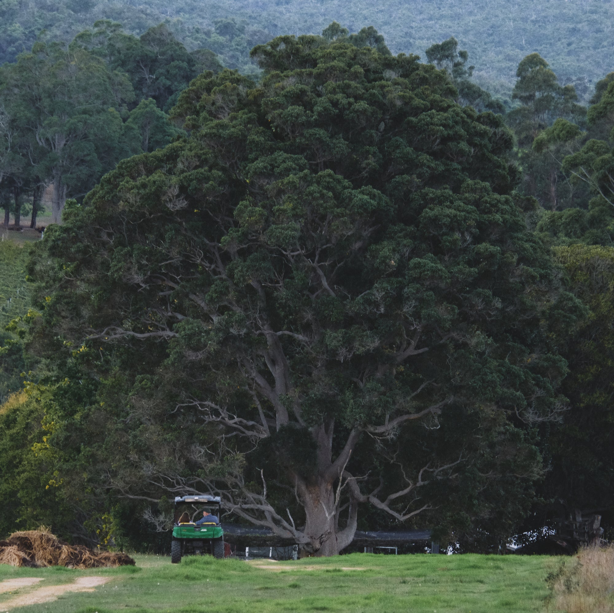 STAY AT ROSA GLEN FARM