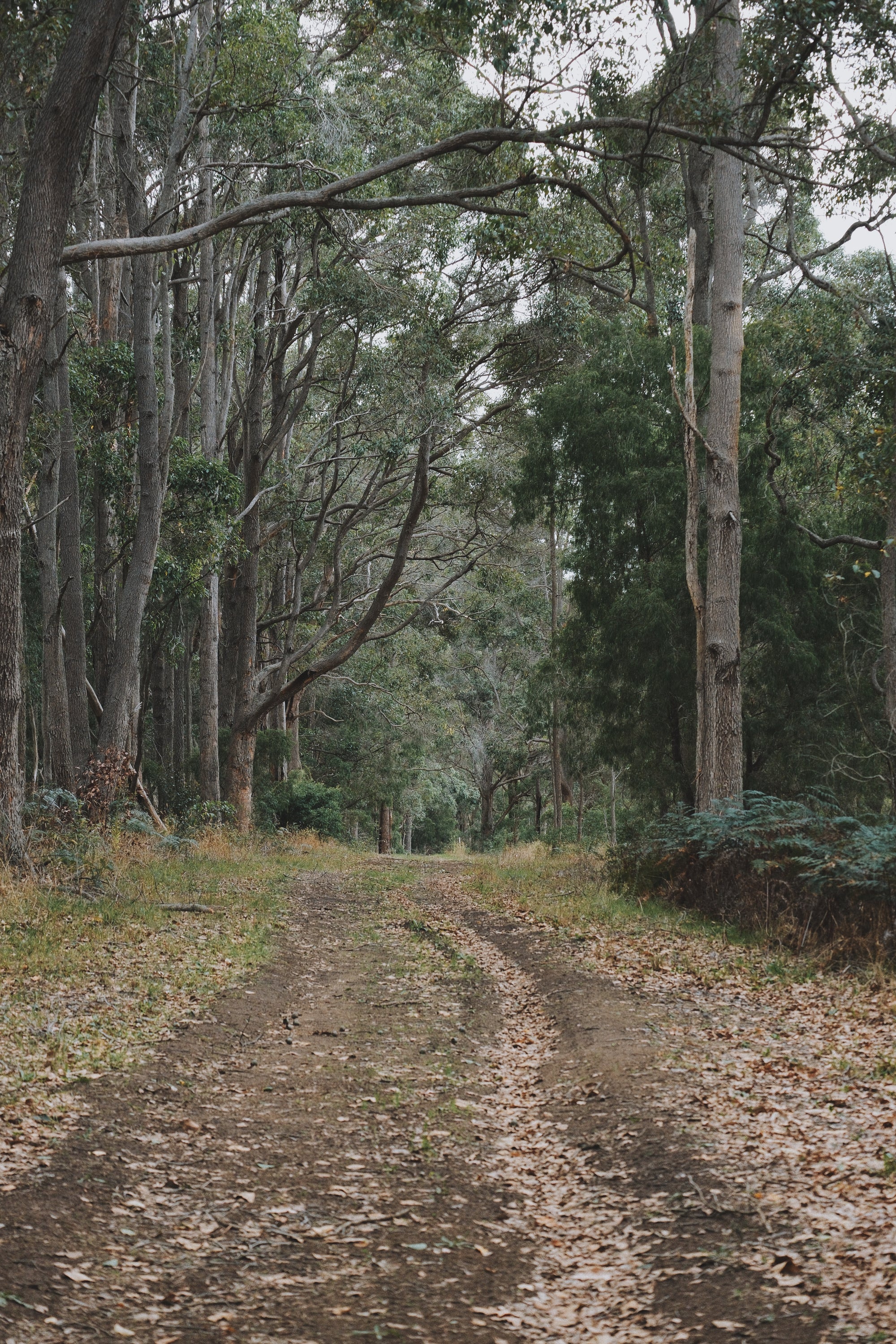 STAY AT ROSA GLEN FARM